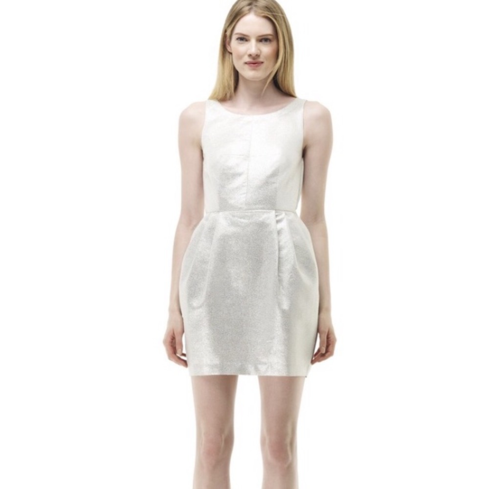 Club Monaco Jacquard Lanna Dress